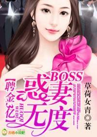 Ƹ3ڣBOSS޶