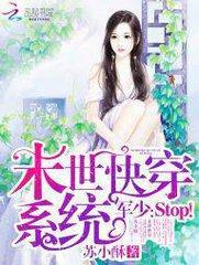 ĩ촩ϵͳ٣Stop